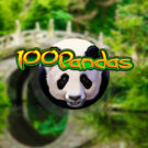 100 Pandas